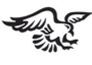 Stock Black & White Flying Hawk Mascot Chenille Patch