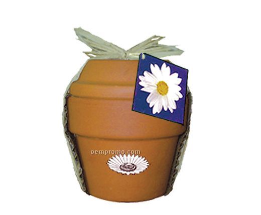 Deluxe Plant Kit With Daisy Seeds