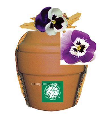 Deluxe Plant Kit With Pansy Seeds