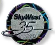 Die Cast 3d Molded Lapel Pin With 3d Alloy Injection (1 3/8")