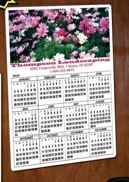Year At A Glance Full Color Plastic Write-on / Wipe Off Wall Calendar