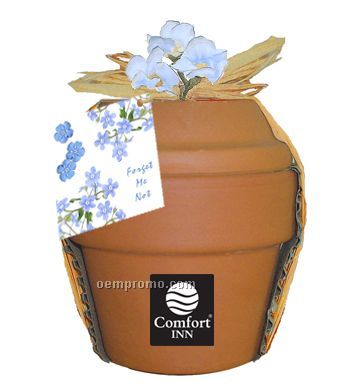 Deluxe Plant Kit With Forget-me-not Seeds