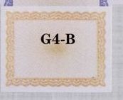 8 1/2"X11" Blank Certificate Border - G Series Color Design - White/Gold