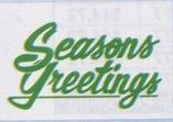 30' Fringe Holiday Pennant W/ Green Pre-printed Message (Season Greetings)