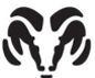 Stock Black & White Ram's Head Mascot Chenille Patch