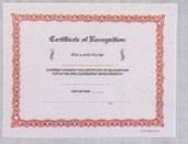 Stock Award Certificate - Certificate Of Recognition
