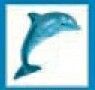Animals Stock Temporary Tattoo - Dolphin (2"X2")