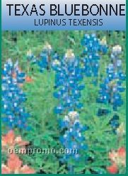 Standard Series Texas Bluebonnet Seeds - 1 Color
