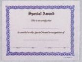 Stock Award Certificate - Special Award
