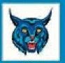 Animals Stock Temporary Tattoo - Blue Wildcat Head (2"X2")