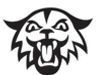 Stock Black & White Wildcat Mascot Chenille Patch