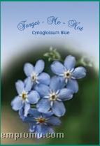 Stock Series Blue Forget-me-not Seeds - Forgot Me Not