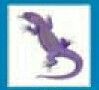 Animals Stock Temporary Tattoo - Purple Lizard (2"X2")