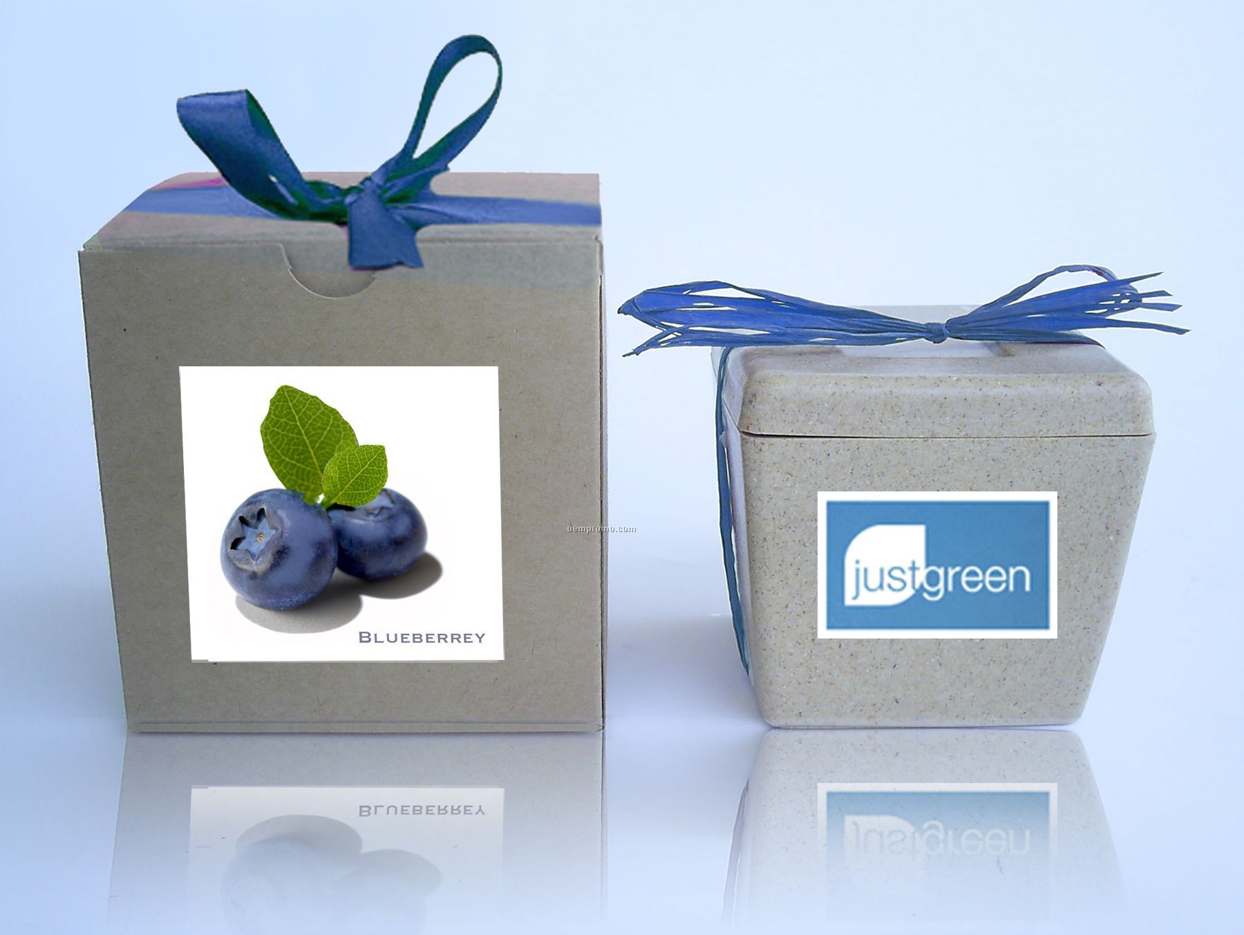 Blueberry Cube Kit