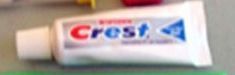 Crest Toothpaste (Blank)