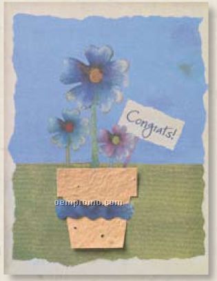 Congratulations Greeting Card With Flower Pot Seed Decoration