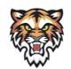 Stock Roaring Tiger Head Mascot Chenille Patch