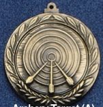 2.5" Stock Cast Medallion (Archery Target)