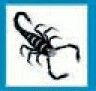 Animals Stock Temporary Tattoo - Scorpion (2"X2")
