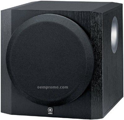 100w High Performance Subwoofer