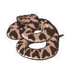 Animals Stock Temporary Tattoo - Coiled Rattlesnake (2"X2")
