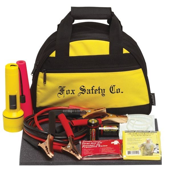 Bee Safe Automotive Safety Kit