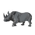 Animals Stock Temporary Tattoo - Gray Rhino (2