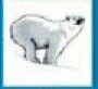 Animals Stock Temporary Tattoo - Polar Bear (2"X2")