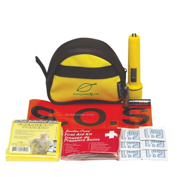 Mini Bee Safe Automotive Safety Kit