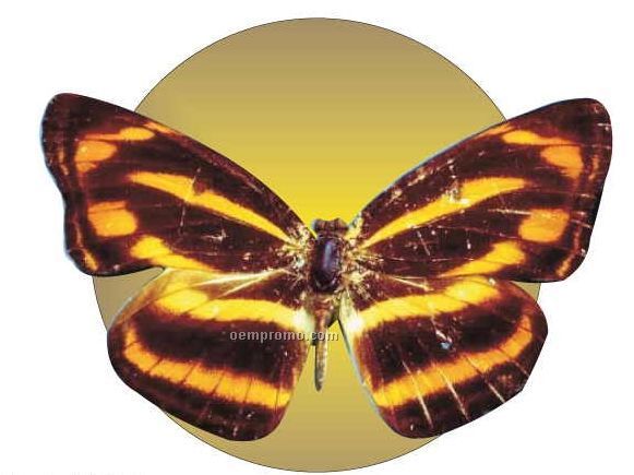 Brown & Yellow Butterfly Acrylic Coaster W/ Felt Back