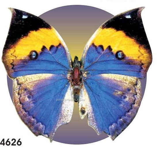 Black & Blue Butterfly Acrylic Coaster W/ Felt Back