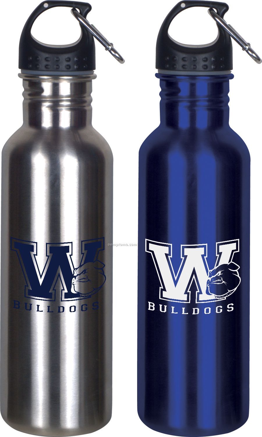 Stainless Steel Sports Bottle