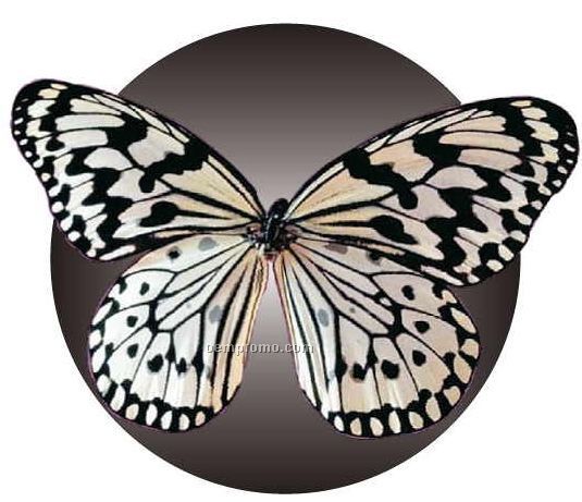 Black & White Butterfly Acrylic Coaster W/ Felt Back