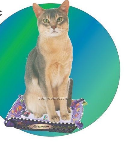 Abyssinian Cat Acrylic Coaster W/ Felt Back