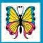 Stock Temporary Tattoo - Blue/ Pink Bordered Butterfly (2"X2")