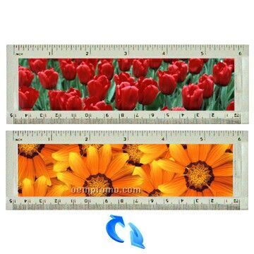 6" Acrylic Ruler W/Tulips / Sunflowers Lenticular Flip Effect (Blanks)