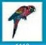 Bird Temporary Tattoo - Multi-colored Hunched Parrot (2