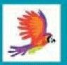 Bird Stock Temporary Tattoo - Flying Macaw Parrot (2"X2")