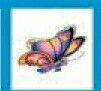 Stock Temporary Tattoo - Pastel Striped Butterfly 5 (2"X2")