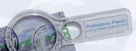 Clear Acrylic Magnifier