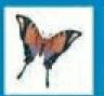 Stock Temporary Tattoo - Peach/ Gray Butterfly 2 (2"X2")