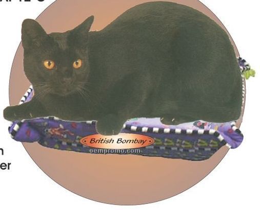 British Bombay Cat Acrylic Coaster W/ Felt Back