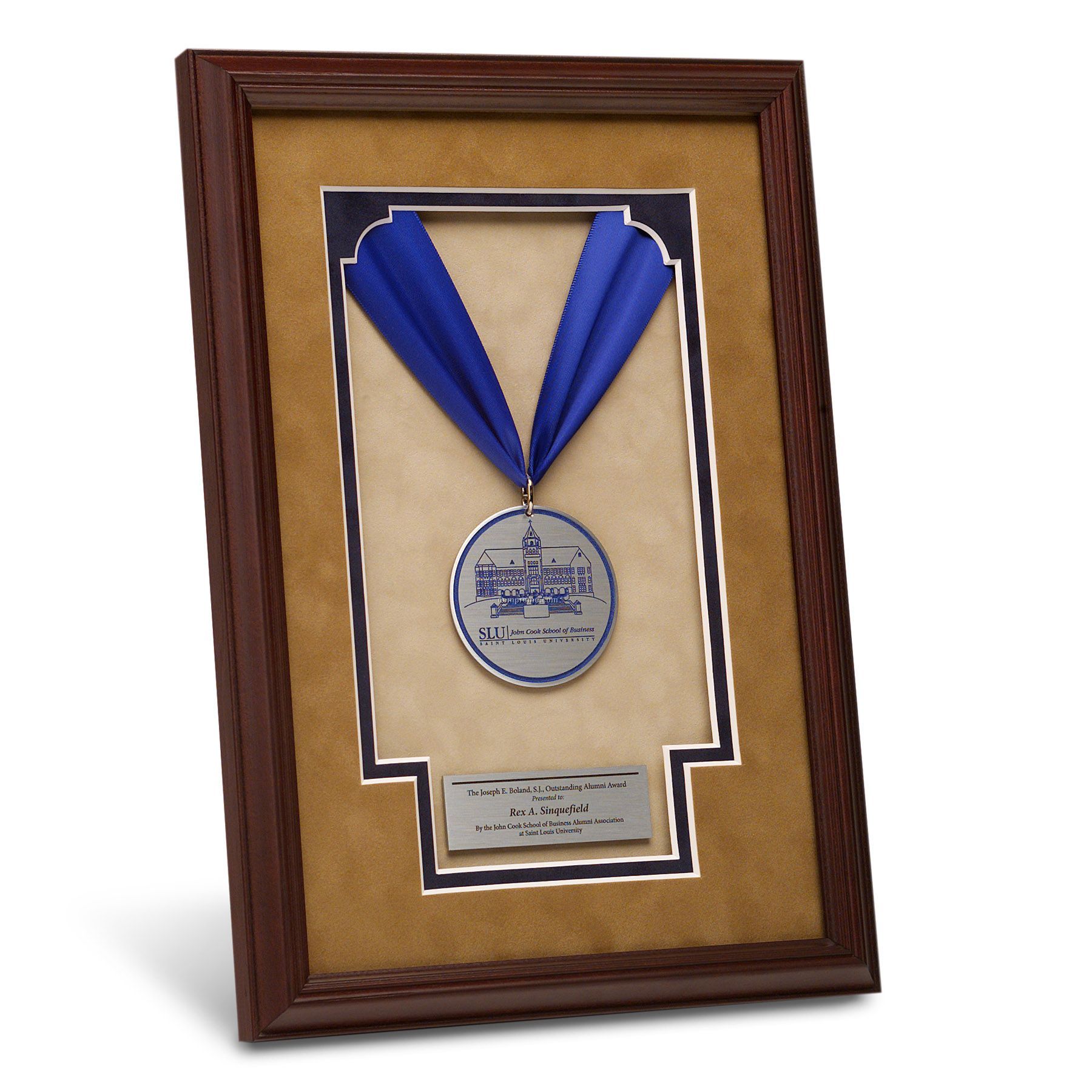 Framed Ribbon Award (8