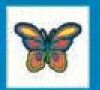 Stock Temporary Tattoo - Groovy Butterfly (2"X2")