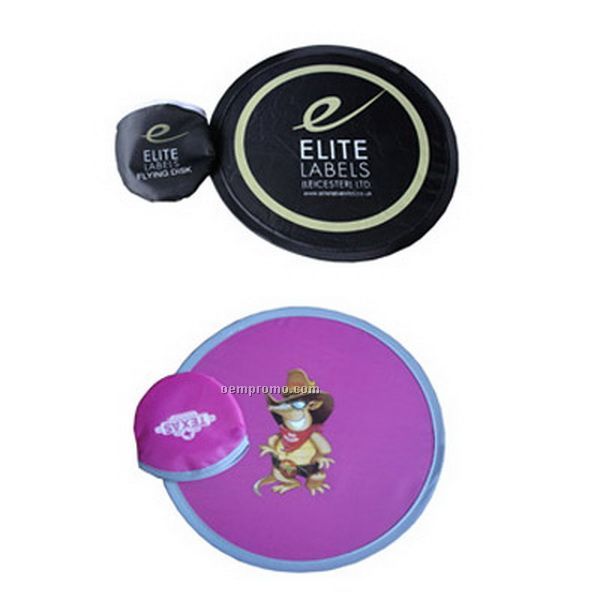 Flying Disc In Pouch
