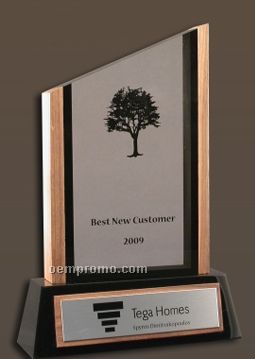 Wood & Lucite Eco Award Embedment