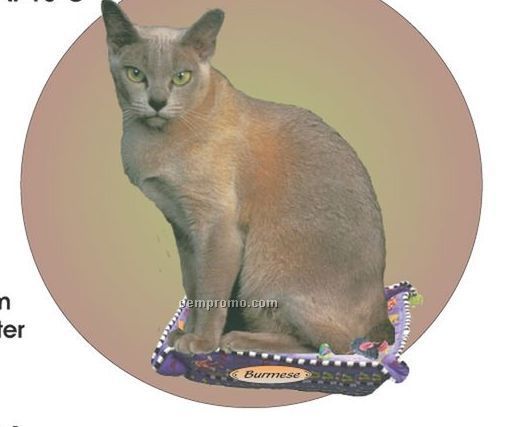 Burmese Cat Acrylic Coaster W/ Felt Back