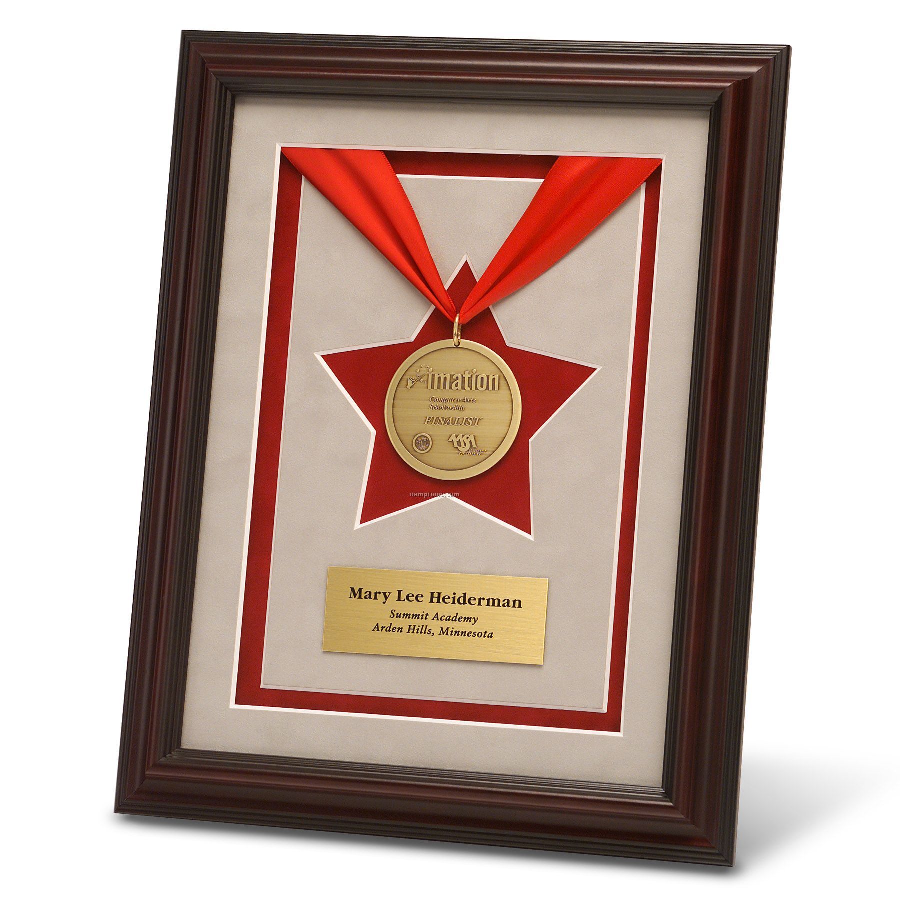 Framed Ribbon Award (9" X 12")