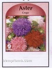 Aster Stock Designs Seed Packets - Imprinted