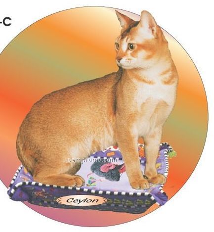 Ceylon Cat Acrylic Coaster W/ Felt Back